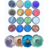 16LI Toz Pigment Boya Seti 16X10ML Reçine Mini Pigment A2