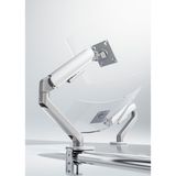 17-34" Lynx Series Gaz Pistonlu Tekli Monitör Kolu, 10 kg, VESA 75x75 ve 100x100 mm, Yükseklik ve Açı Ayarlı, Masa Kelepçeli, Silver