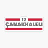 17 Çanakkaleli Plaka Araba Sticker Yapıştırması