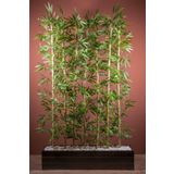 170 Cm Bambu Seperatör