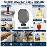 17X3 Mm Yuvarlak Ferrit Disk Mıknatıs - Eğitim, Hobi Ve El Sanatları İçin