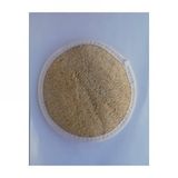 1881 Oval Kabak Lifi Bej