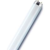 18W 60CM Grolux Floresan Cool White G13 Floresan Ampul 18 W Yok