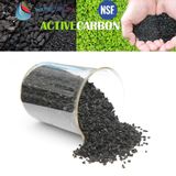 (1kg) Aktif Karbon Coconut Bazlı Hindistan Cevizi Kabuğu