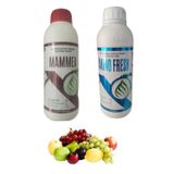 1LT/Bitkisel Menşeili Organik Yaprak Gübrei Amino Fresh/Meyve Ağaçları Gübreleri