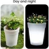 2 Açık Güneş Yaratıcı Bahçe Saksı Işık Gece Otomatik Aydınlatma Çim Işığı 4led Avlu Işık Su Geçirmez Güneş Lambası