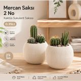 2 Adet 0.35 Lt No 2 Kaktüs ve Çiçekler Için Dekoratif ve Şık Yuvarlak Mercan Saksı Orta Boy No2