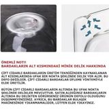 2 Adet 250 Ml Çift Cidarlı Borosilikat Cam Kupa Bardak Termisil Isıya Dayanıklı Şeffaf Kahve Çay Latte Espresso Fincanı Cam Bardak Seti