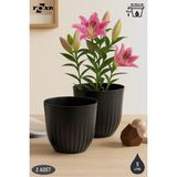 2 Adet 5 Litre Çizgi Saksı Seti 21cm Tabaklı Delikli Plastik Drenajlı Çiçek Saksısı Set - Antrasit - 5 Litre (Set)