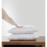 2 Adet Boncuk Slikon Yastik I 800Gr/Adet I 50X70cm