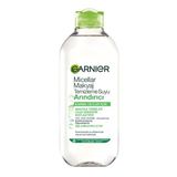 2 Adet Garnier Arındırıcı Micellar Makyaj Temizleme Suyu 400 Ml