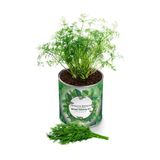 2 Adet Konserve Dereotu Yetiştirme Kiti Kb011