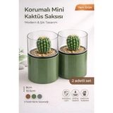 2 Adet Korumalı Kaktüs Saksısı Seti Şeffaf Korumalı 8X10,5CM Renkli Plastik Gövde AH188