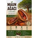 2 Adet Maun Ağacı Tohumu (Mahogany) – Yüksek Çimlenme Garantili, Değerli ve Hızlı Büyüyen Ağaç