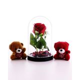 2 Adet Mini Ayıcıklar Fanusta Led Işıklı Kırmızı Gül ve Sevgiliye Eşe Hediye Seti