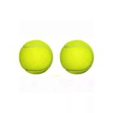 2 Adet Sarı Tenis Topu Antrenman Tenis Topu