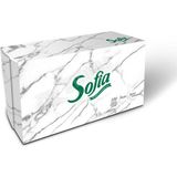 2 Adet Sofia Dik Kutu Mendil 100'LÜ