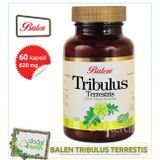 2 Adet X Balen Tribulus Terrestris (Demir Dikeni) Kapsül