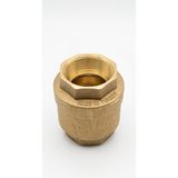 2'' Dikey Çekvalf Klepsan Pirinç