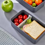 2 Katlı Çatal Kaşıklı Beslenme Kutusu Dikdörtgen, Bölmeli Yemek Saklama Kabı, Öğrenci ve Sporcu İçin Pratik Lunch Box (Gri)