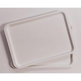 2 Lİ BÜYÜK BOY PLASTİK TEPSİ (53X37)