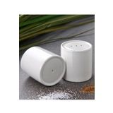 2 Li Porselen Tuzluk Biberlik 100ml