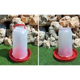 2 Li Set 4 Lt Suluk 4 kg Yemlik Tavuk Yemliği Tavuk Suluğu Civciv Yemliği Civciv Suluğu