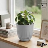 2 Litre Çizgi Saksı 16cm Tabaklı Delikli Plastik Drenajlı Çiçek Saksısı - Fildişi - 2,2 Litre