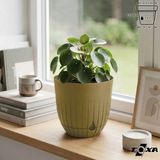 2 Litre Çizgi Saksı 16cm Tabaklı Delikli Plastik Drenajlı Çiçek Saksısı - Hardal - 2,2 Litre