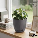 2 Litre Çizgi Saksı 16cm Tabaklı Delikli Plastik Drenajlı Çiçek Saksısı - Kahve - 2,2 Litre