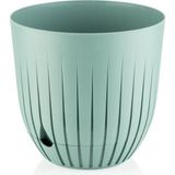 2 Litre Çizgi Saksı 16cm Tabaklı Delikli Plastik Drenajlı Çiçek Saksısı - Su Yeşili - 2,2 Litre