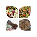 2 Litre Ultra Organik Kaktüs Toprağı (17 Çeşit Ağaç Yaprağı Ve 3 Çeşit Hayvan Gübresi Karışımı)