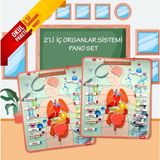 2 Set - 52 Parça Tox Iç Organlar Sistemi Keçe Duvar Panoları , Eğitici Oyuncak - Renkli