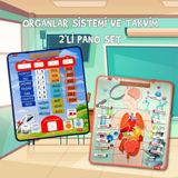 2 Set - 69 Parça İç Organlar Ve Takvimi Öğreniyorum Keçe Cırtlı Duvar Panoları , Eğitici Oyuncak