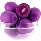 2 Yaş Aşılı Tropikal Mor Kivi-Actinidia Purpurea Hardy Kivi Fidanı,Torbada
