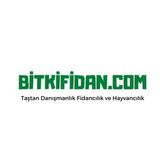 2 Yaş Sultaniye Çekirdeksiz Üzüm Fidanı