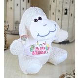 20-25 cm Tişörtlü Pelüş Ayıcık, 20 cm Teddy Bear, Sevgiliye Hediye,Ayı Teddy,Plush Toys,Oturan ayı,Ofis Hediyesi,İyi ki Varsın,Tişörtlü(kuzu)