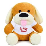 20-25 cm Tişörtlü Pelüş Ayıcık, 20 cm Teddy Bear, Yumuşak renkli Ayıcık, Sevgiliye Hediye,Ayı Teddy,Plush Toys,Oturan ayı,Ofis Hediyesi,İyi ki Varsın,Tişörtlü (Köpek)