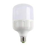 20-30-40-50 Watt Büyük Boy Torch Led Ampul-E27 Duy-Beyaz Işık