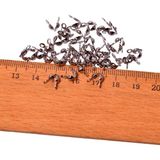 20 Adet Çelik Kapama - Düğüm Gizleyici - Kararmaz