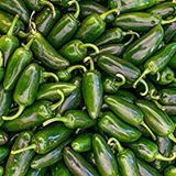 20 Adet Early Jalapeno Biber Tohumu