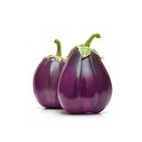 20 Adet Italyan Floransa Patlıcan Tohumu