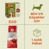 20 Adet Kito Fresh Tavuk Etli Köpek Yemeği %100 Taze İçerikli Mama + 2,5 kg Yetişkin Mini Irk Köpek Maması