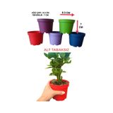 20 Adet KÜÇÜK BOY Plastik 5 Renkli Çiçek Üretim Saksısı (8.5 CM.LİK) Alt Tabaksız