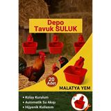 20 Adet Otomatik Depo Tipi Tavuk Sulugu