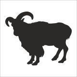 20 cm Dağ Keçisi Folyo Sticker