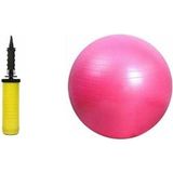 20 cm Fitilli Pilates Topu ve Pompa Seti Plates Denge Yoga Spor Egzersiz Top Jimnastik Fitness - Pembe