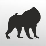 20 cm Orangutan Folyo Sticker