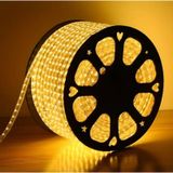 20 Metre Günışığı Silikonlu Hortum Şerit Led Işık Fişli 3 Çipli