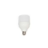 20 Watt Torch Led Ampul